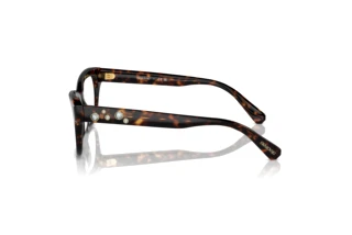 Zijaanzicht Swarovski SK2022 (1002)