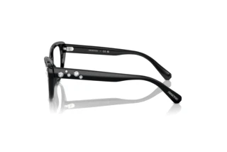 Zijaanzicht Swarovski SK2023 (1001)