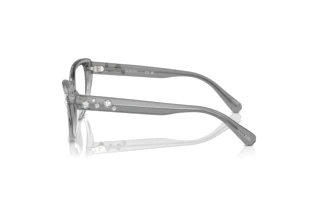 Zijaanzicht Swarovski SK2023 (1046)