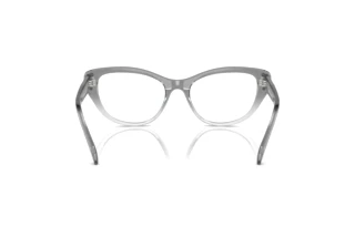 Achteraanzicht Swarovski SK2023 (1046)