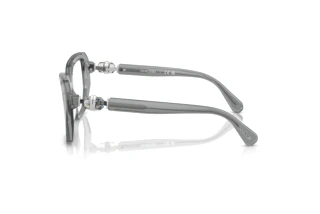 Zijaanzicht Swarovski SK2035 (1062)
