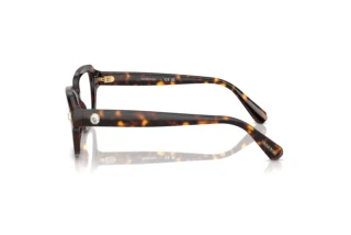 Zijaanzicht Swarovski SK2039 (1002)