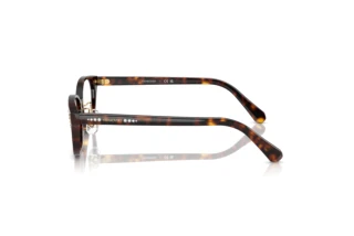 Zijaanzicht Swarovski SK2040D (1002)