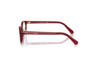 Zijaanzicht Swarovski SK2040D (1055)