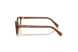 Zijaanzicht Swarovski SK2040D (1067)