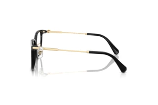 Zijaanzicht Swarovski SK2041D (1001)