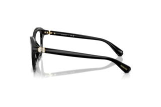Zijaanzicht Swarovski SK2042U (1001)