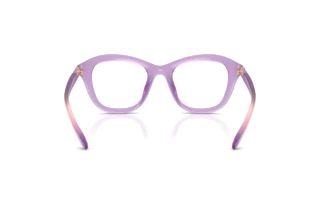 Achteraanzicht Swarovski SK2042U (1075)