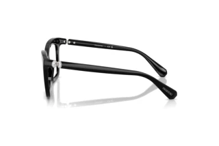 Zijaanzicht Swarovski SK2043 (1038)