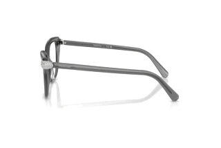 Zijaanzicht Swarovski SK2045 (1072)