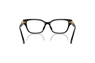 Achteraanzicht Swarovski SK2049D (1001)