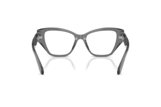 Achteraanzicht Swarovski SK2050U (1072)