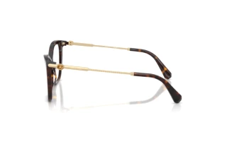 Zijaanzicht Swarovski SK2051 (1002)