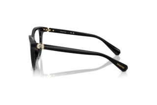 Zijaanzicht Swarovski SK2052 (1001)