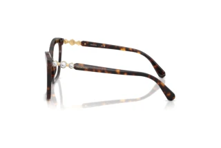 Zijaanzicht Swarovski SK2053 (1002)