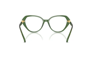 Achteraanzicht Swarovski SK2054 (1085)