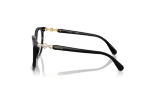 Zijaanzicht Swarovski SK2055 (1001)