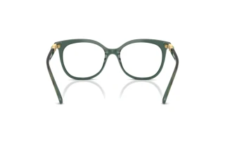 Achteraanzicht Swarovski SK2055 (1043)