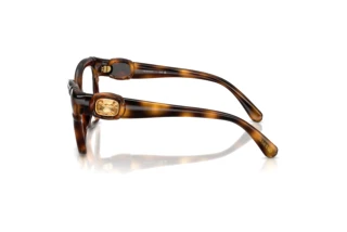 Zijaanzicht Swarovski SK2056U (1002)