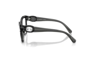Zijaanzicht Swarovski SK2056U (1087)