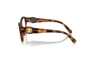 Zijaanzicht Swarovski SK2057 (1002)
