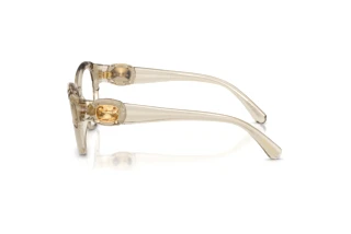 Zijaanzicht Swarovski SK2057 (3003)