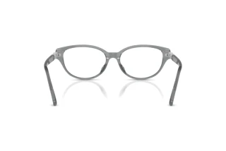 Achteraanzicht Swarovski SK2058D (1062)