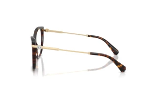 Zijaanzicht Swarovski SK2060 (1002)