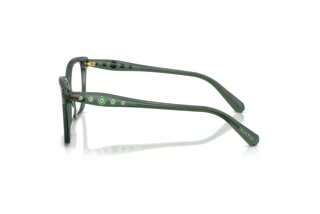Zijaanzicht Swarovski SK2061 (1043)