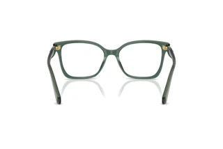 Achteraanzicht Swarovski SK2061 (1043)