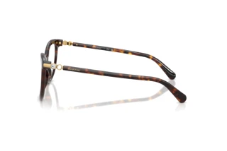 Zijaanzicht Swarovski SK2064 (1002)