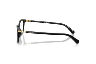 Zijaanzicht Swarovski SK2065 (1001)