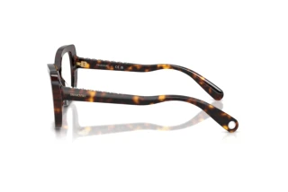 Zijaanzicht Swarovski SK2066U (1002)