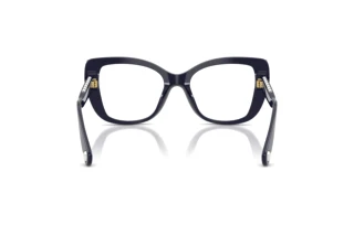 Achteraanzicht Swarovski SK2066U (1099)