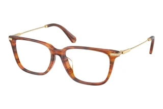 Vooraanzicht Swarovski SK2067D (1091)