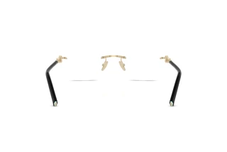 Achteraanzicht Tiffany TF1170D (6021)