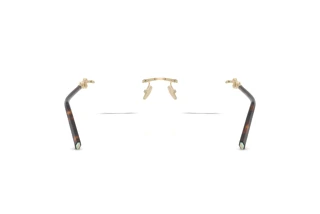 Achteraanzicht Tiffany TF1170D (6189)