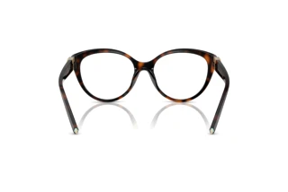 Achteraanzicht Tiffany TF2255U (8015)