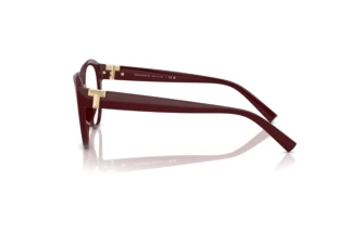Zijaanzicht Tiffany TF2255U (8389)