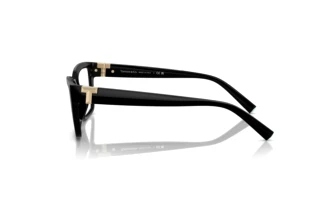 Zijaanzicht Tiffany TF2256U (8361)