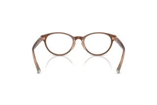 Achteraanzicht Tiffany TF2306D (8255)