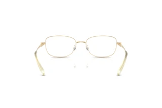 Achteraanzicht Tory Burch TY1098 (3346)