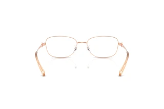 Achteraanzicht Tory Burch TY1098 (3358)