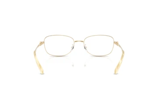 Achteraanzicht Tory Burch TY1098 (3362)