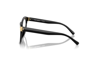 Zijaanzicht Tory Burch TY2154U (1709)