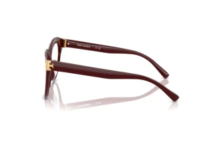 Zijaanzicht Tory Burch TY2154U (2018)