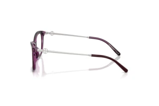 Zijaanzicht Tory Burch TY2165U (2050)