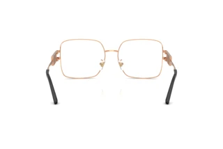 Achteraanzicht Versace VE1303D (1412)