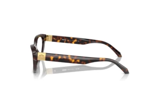 Zijaanzicht Versace VE3356 (108)