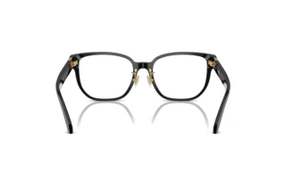 Achteraanzicht Versace VE3360D (GB1)